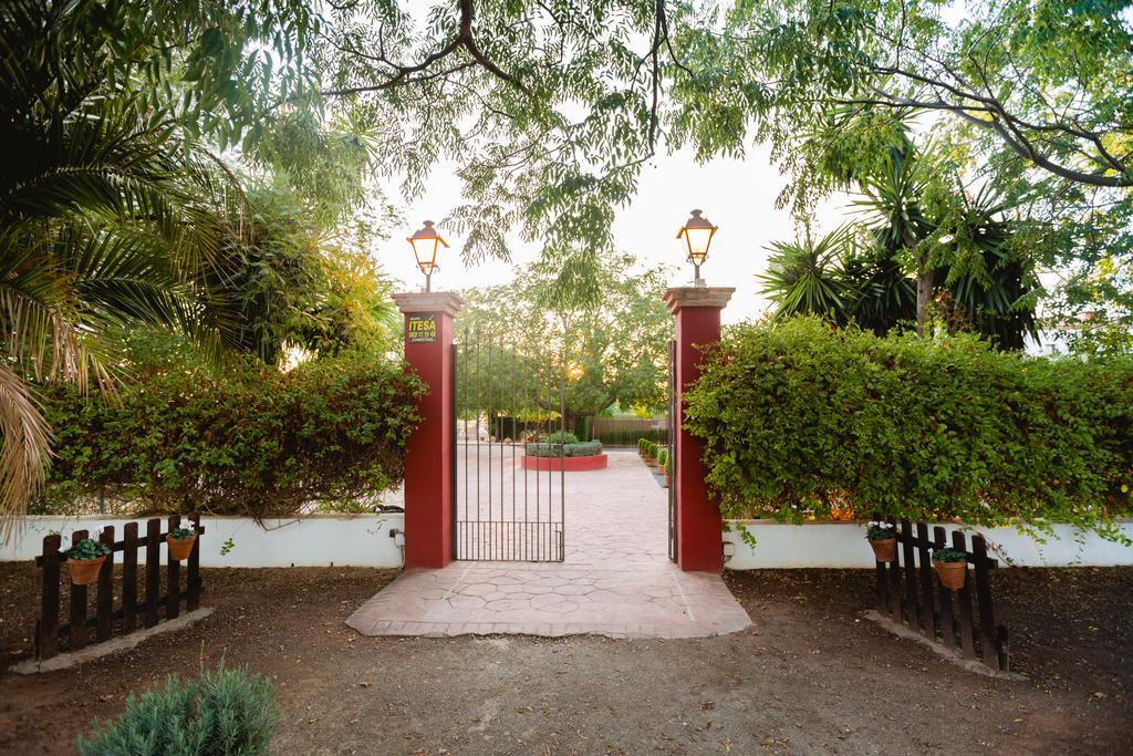 Cortijo Carrillo Bed & Breakfast Cartaojal Exterior photo